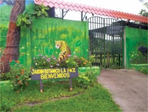 esc-republica-haiti-01