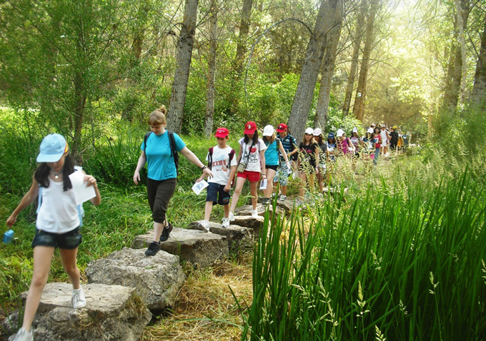 campamento-colectivo-tandem