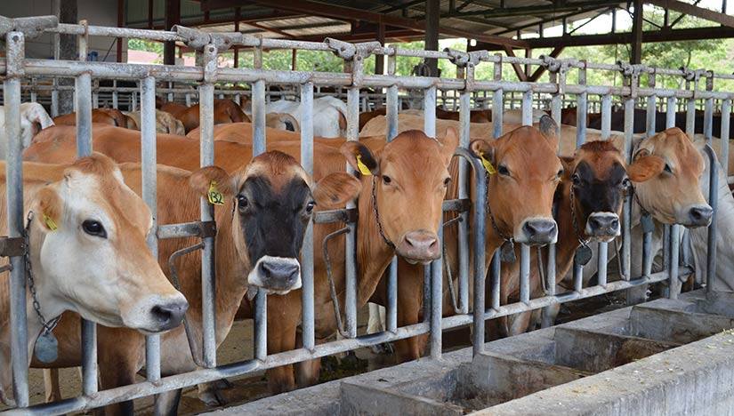 1940080_10202066044985180_99585128_n