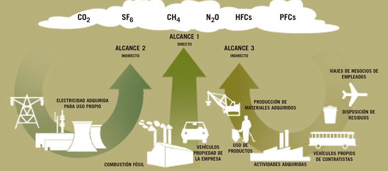 guia estandar capitulo 1.pdf