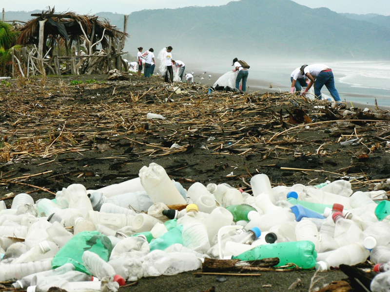 voluntarios-incluyen-informe-mundial-LN_LNCIMA20140919_0010_1